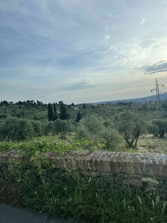 Hooikoorts en Allergieën - Hoe Huidverzorging Kan Helpen