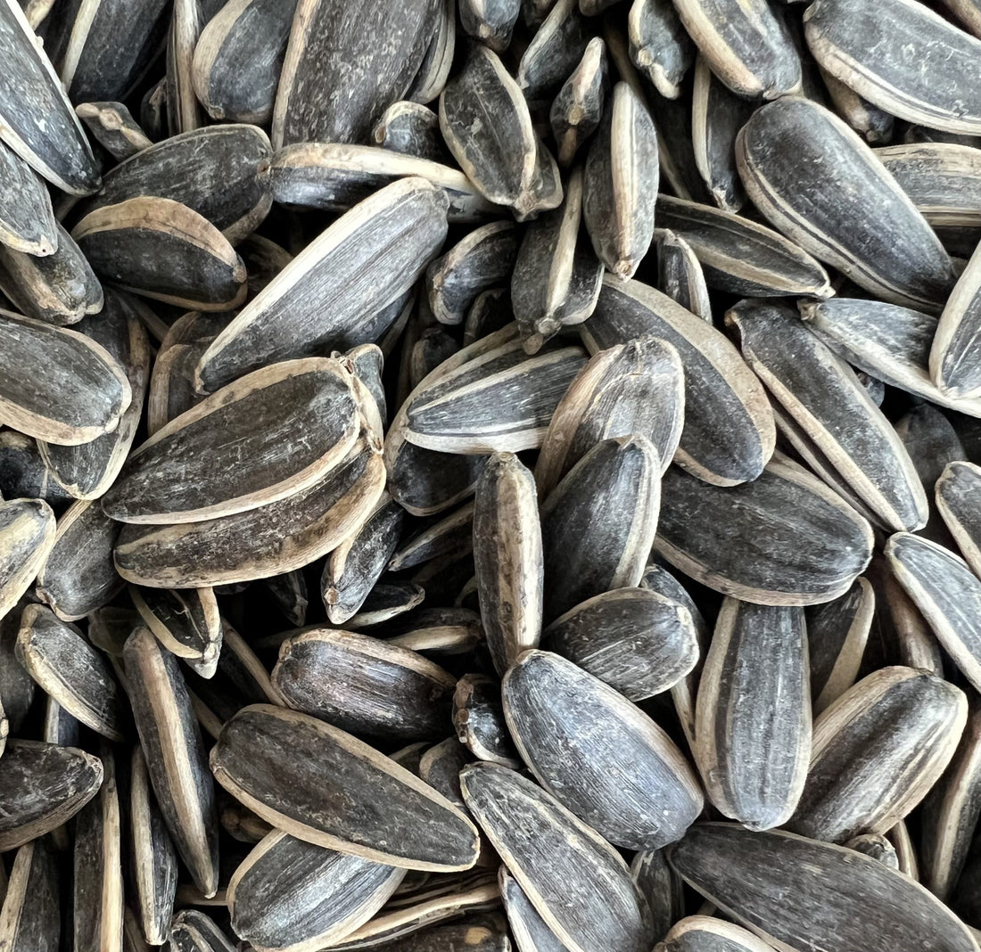 Skin Benefits of Sunflower Seeds